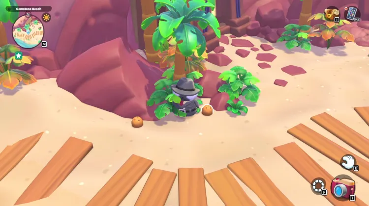 ต้นมะพร้าว