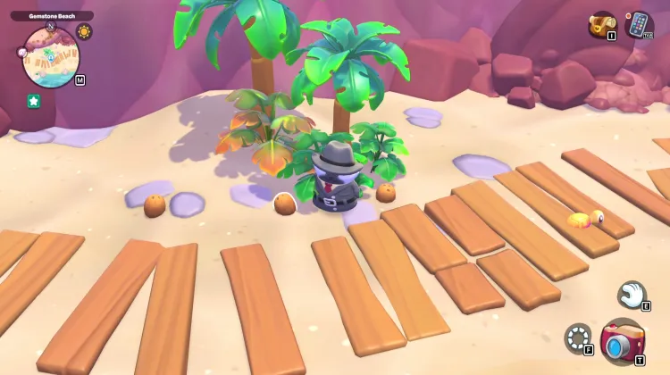 ต้นมะพร้าว