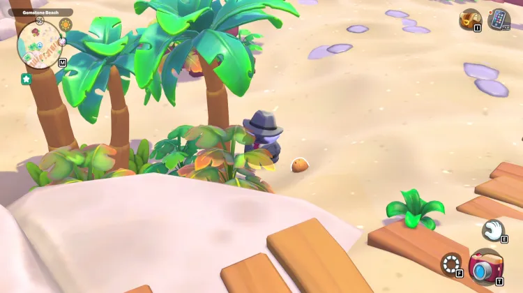 ต้นมะพร้าว