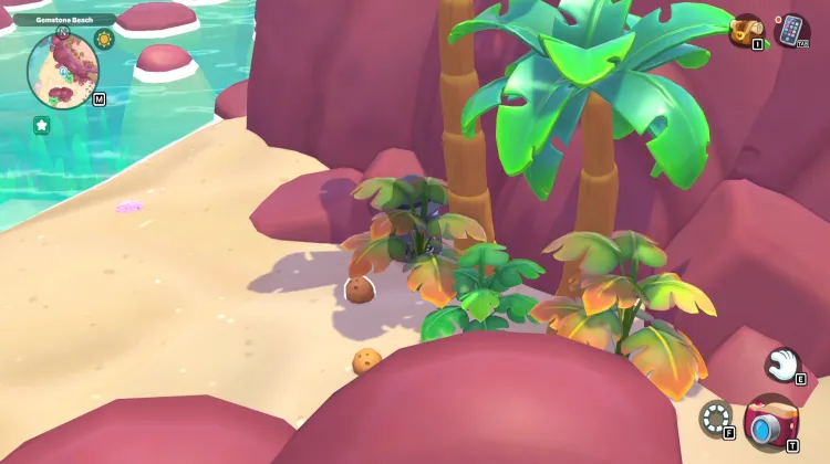 ต้นมะพร้าว