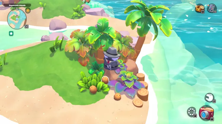 ต้นมะพร้าว