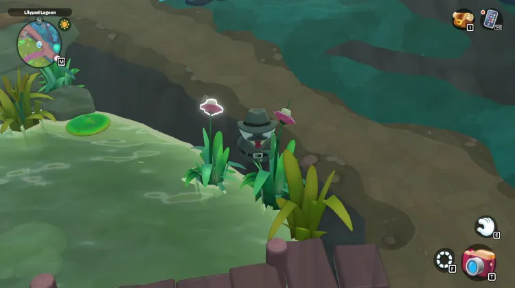 Paludi delle Caramelle