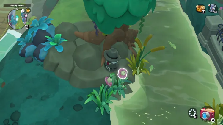 Paludi delle Caramelle