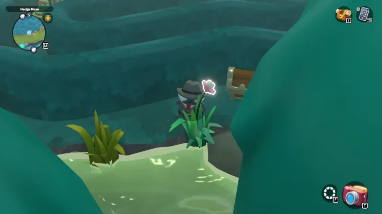 Paludi delle Caramelle