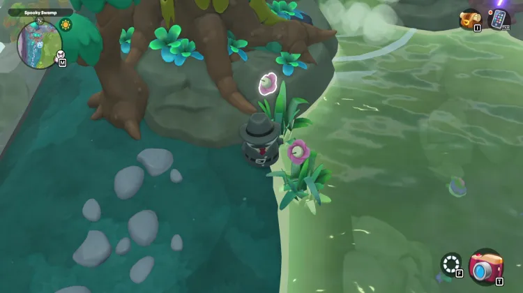 Paludi delle Caramelle