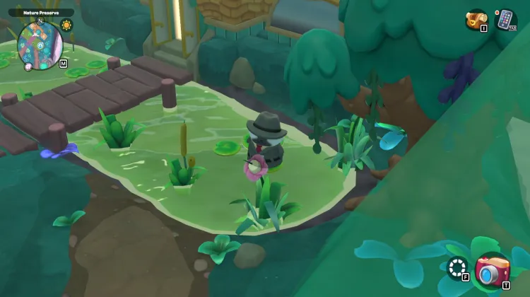 Paludi delle Caramelle