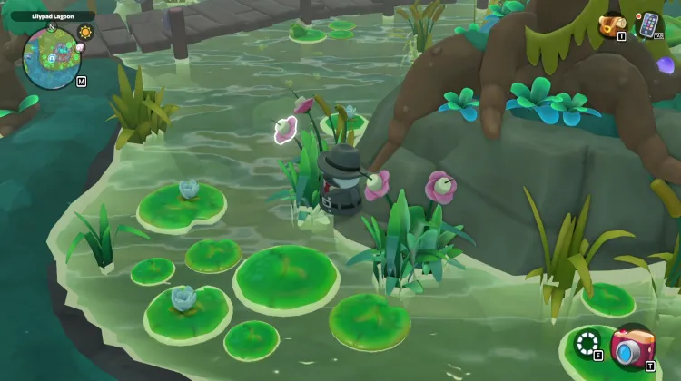 Paludi delle Caramelle