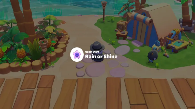 雨でも晴れでも