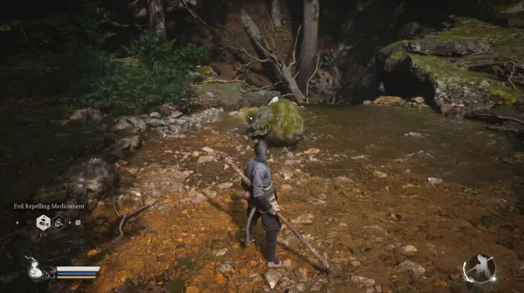 स्कंध रूप