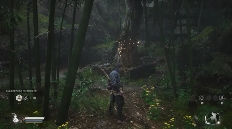 Luojia Fragrant Vine