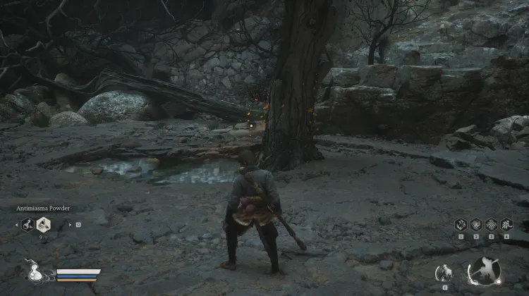 Luojia Fragrant Vine