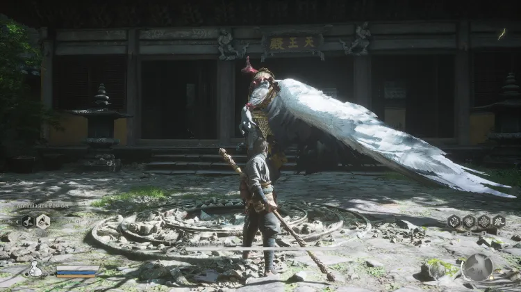 सर्वोच्च निरीक्षक