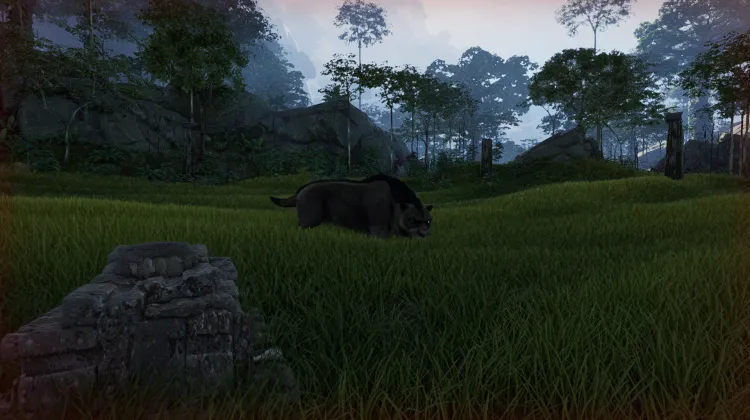 Saber-toothed Predator