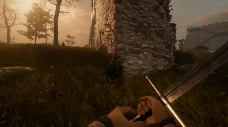 Racine de bardane (2x)