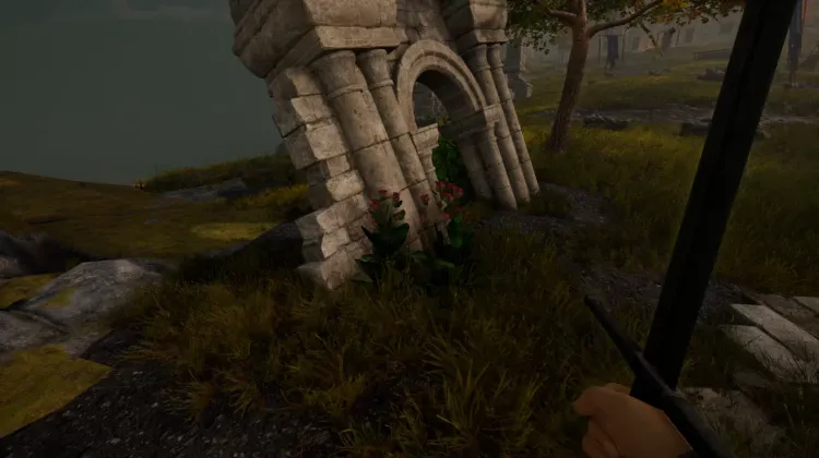 Racine de bardane (3x)