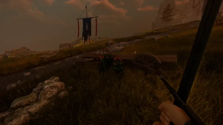 Racine de bardane (3x)