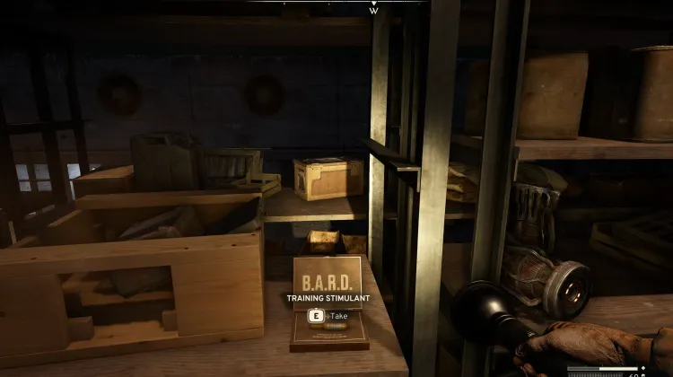 Stymulant Treningowy