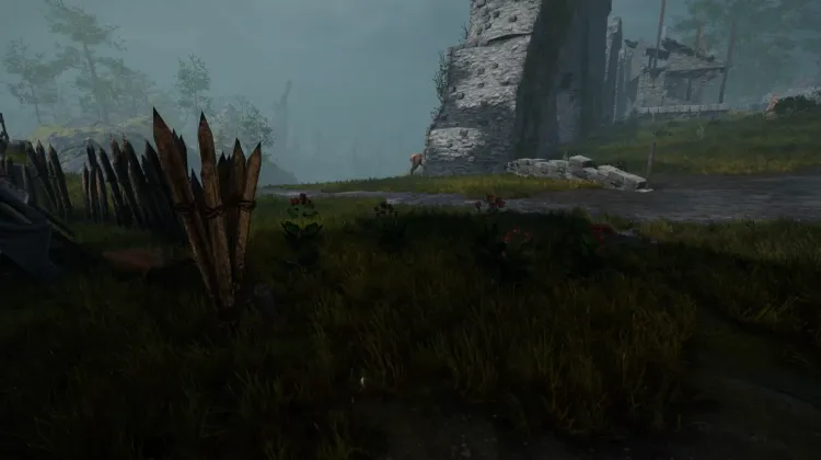 Racine de bardane (5x)