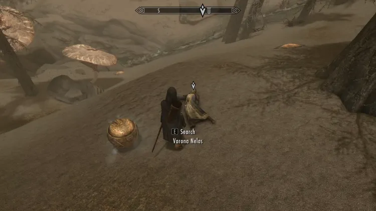 Widerwilliger Verwalter