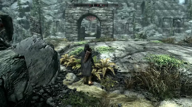 Lieu de repos du dragon