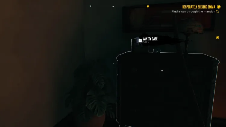 Drawer and Vanity Case