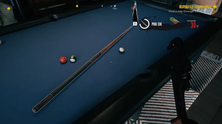 Pool Cue