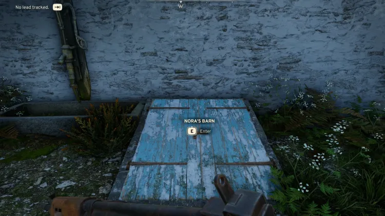 Noras Scheunenkeller-Eingangstür