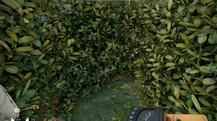 Local de Escavação