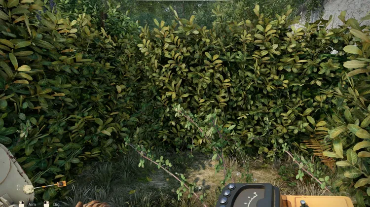 Local de Escavação