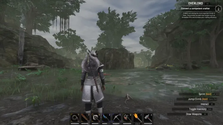 हुक का प्रवेश द्वार