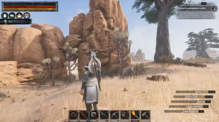 ओएसिस ओवरलुक