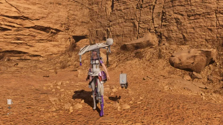 Abbigliamento del Spadaccino Errante