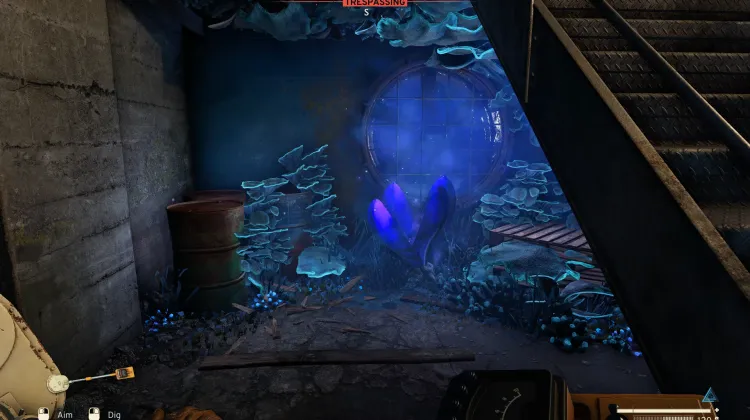 Local de Escavação