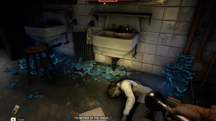 Être Libre des Voix