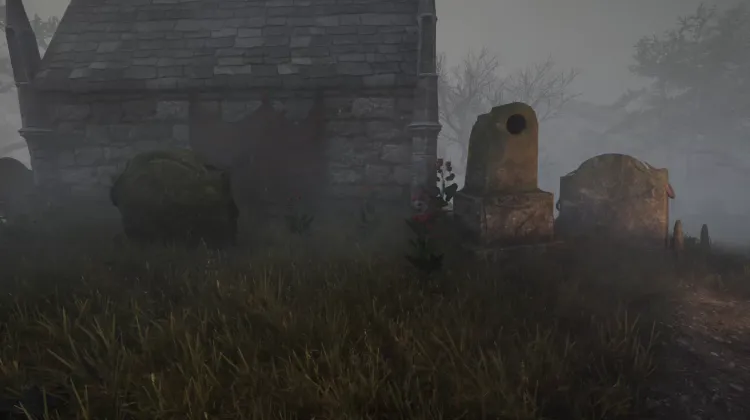 Racine de bardane (5x)