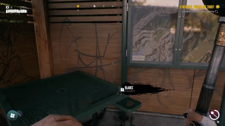 Trunk and Other items