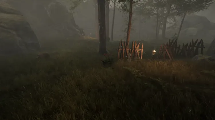 Racine de bardane (3x)