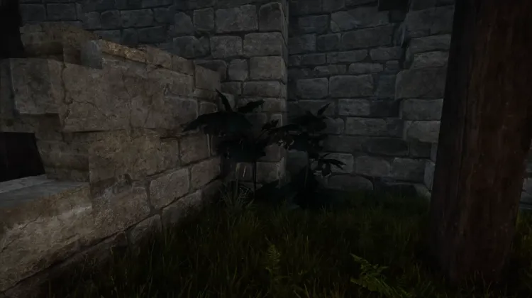 Filet du Diable (2x)