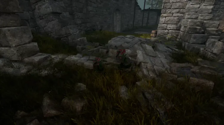 Racine de bardane (2x)