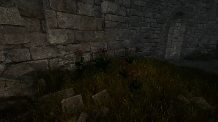 Racine de bardane (5x)