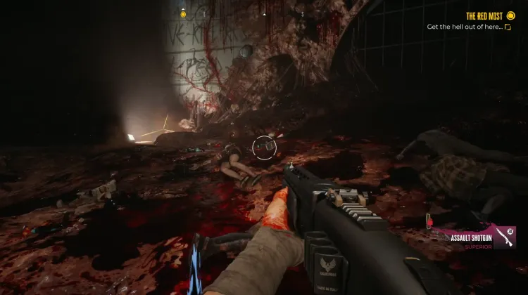 Sturmgewehr-Schrotflinte