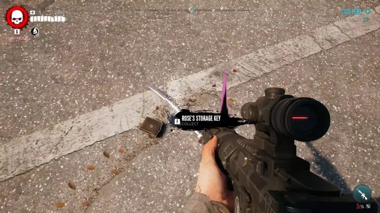 Rose-Lagerraum-Schlüssel