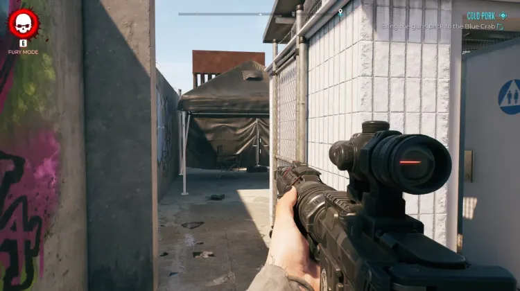 Shower Maintenance Door