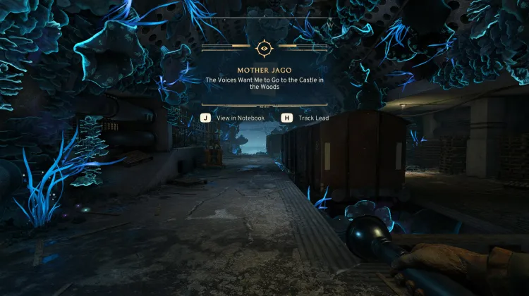 Les Voix Veulent que j'Aille au Château dans les Bois