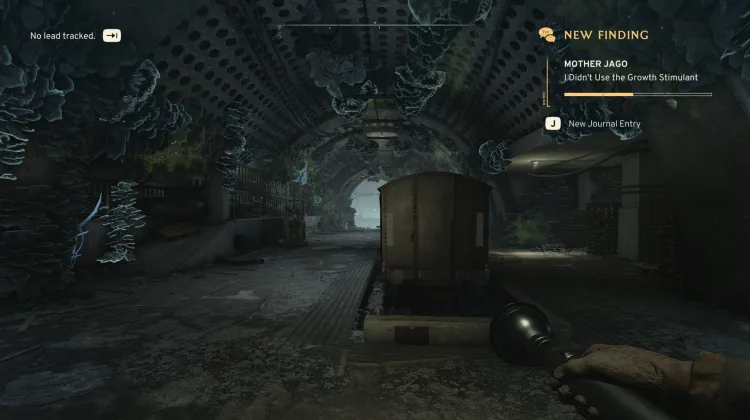 Eu Não Usei o Estimulante de Crescimento