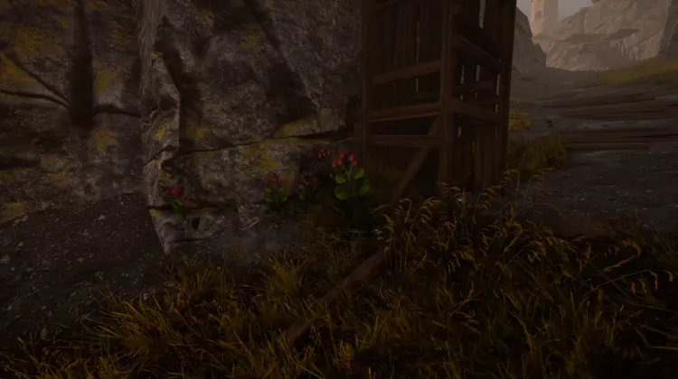 Racine de bardane (5x)