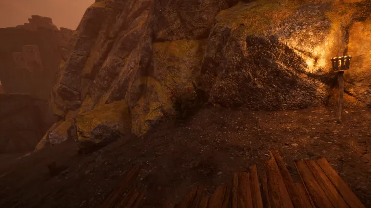 Racine de bardane (3x)