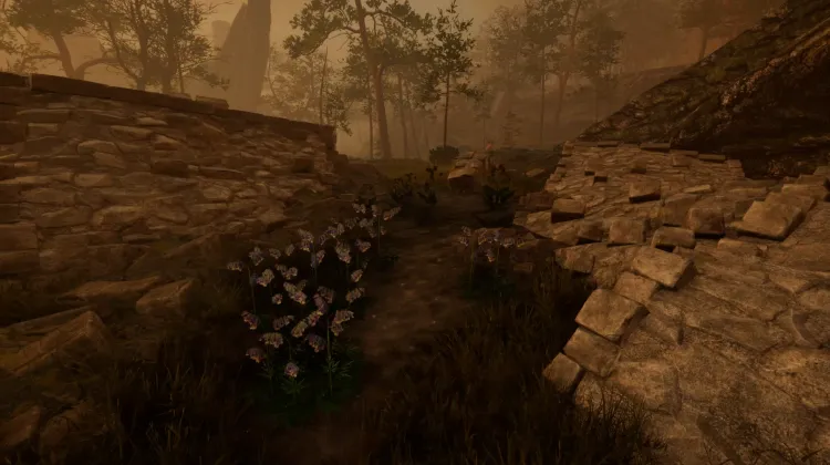 Aconit tue-loup (5x)