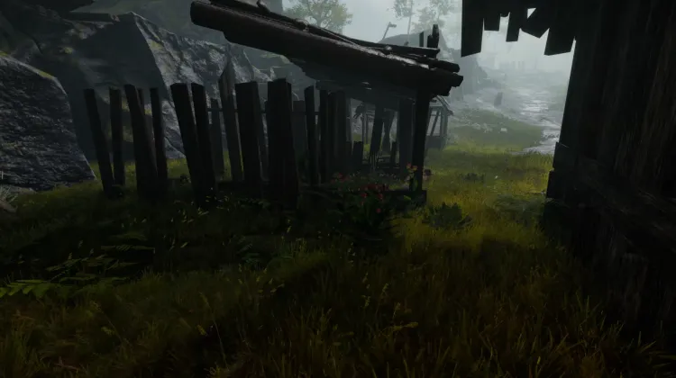 Racine de bardane (5x)