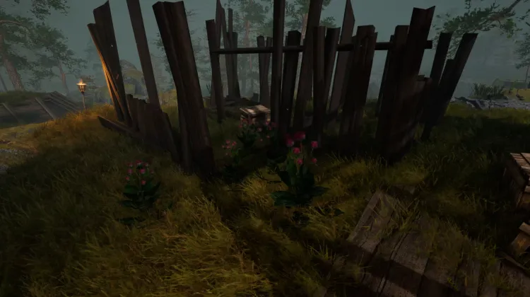 Racine de bardane (5x)